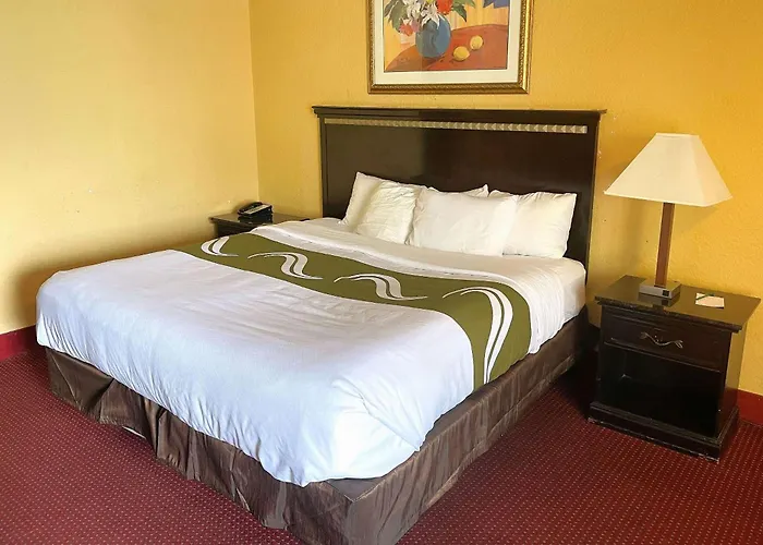 Exploring the Top Motel Orlando Choices for Budget-Friendly Accommodations